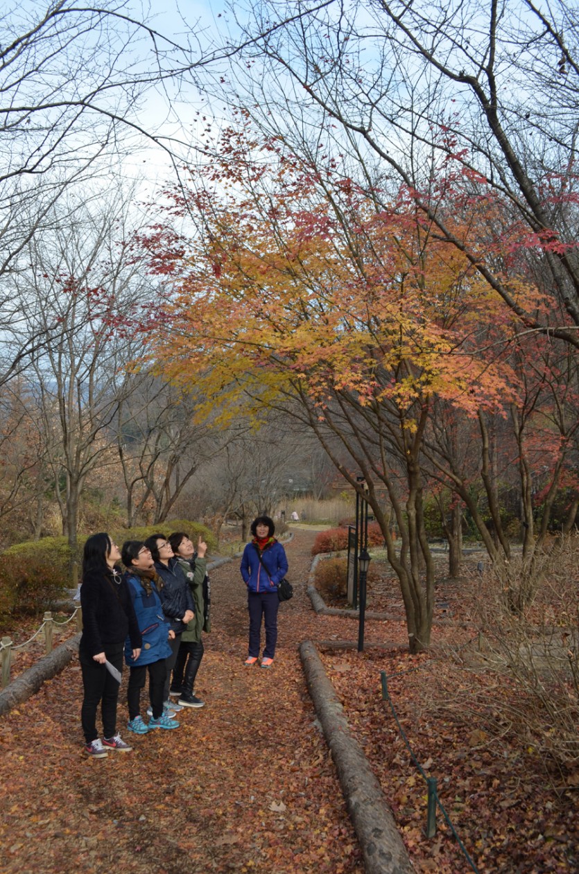 DSC_0120.JPG
