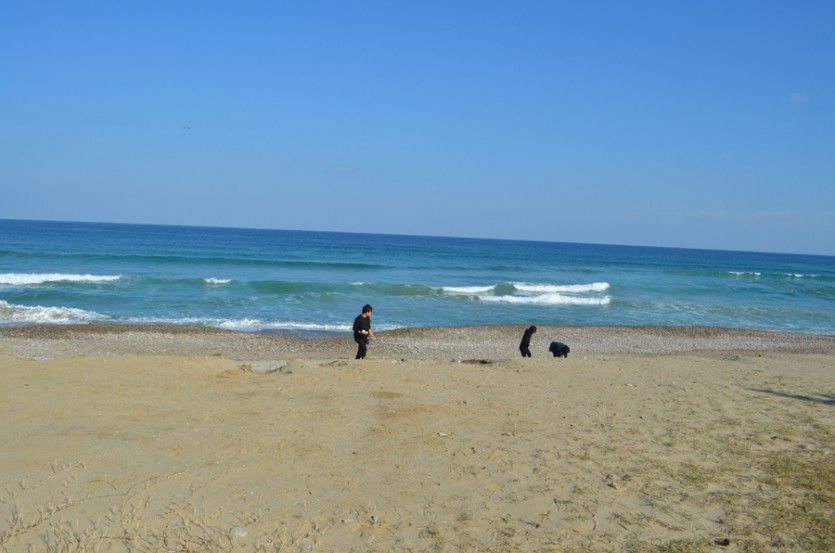 DSC_0372.JPG