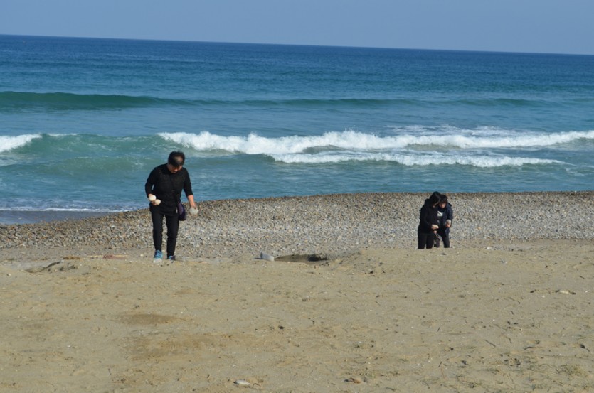DSC_0373.JPG