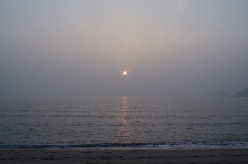 DSC_0374.JPG