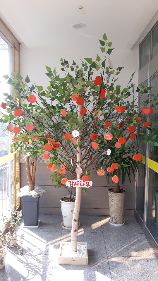 KakaoTalk_20201114_132503795.jpg